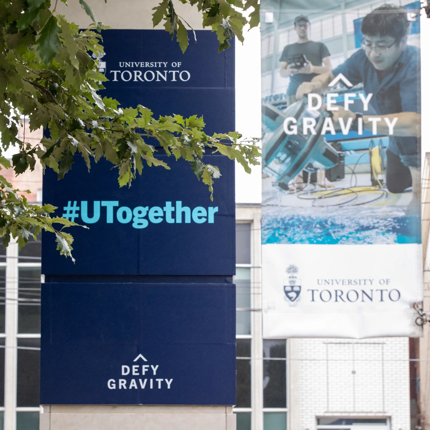 University of Toronto Defy Gravity sign