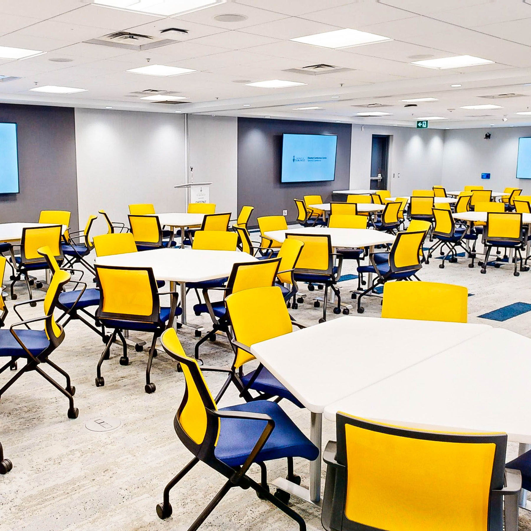 University-Room at the Chestnut Conference Centre